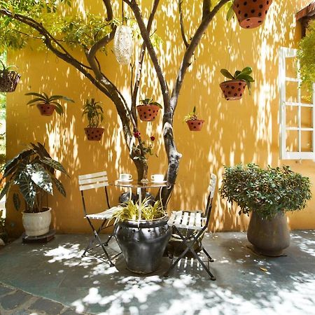 Green Garden Homestay Hoi An Dış mekan fotoğraf